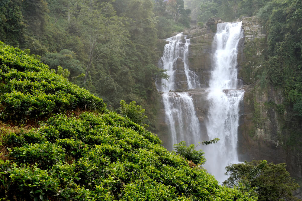 2 Days Murchison Falls Safari