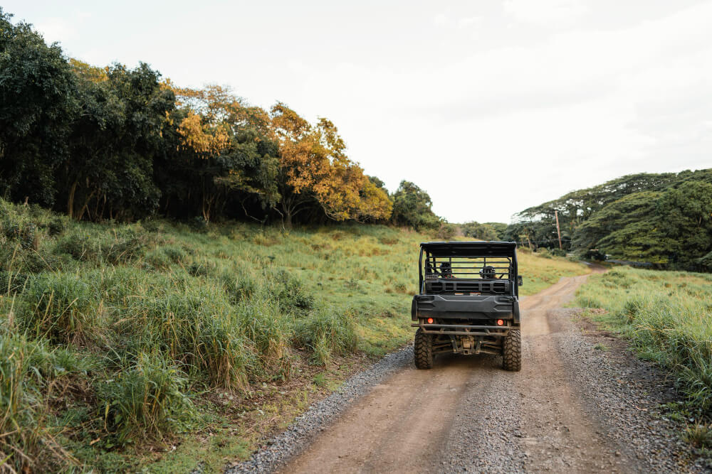 Game Drives in Queen Elizabeth
