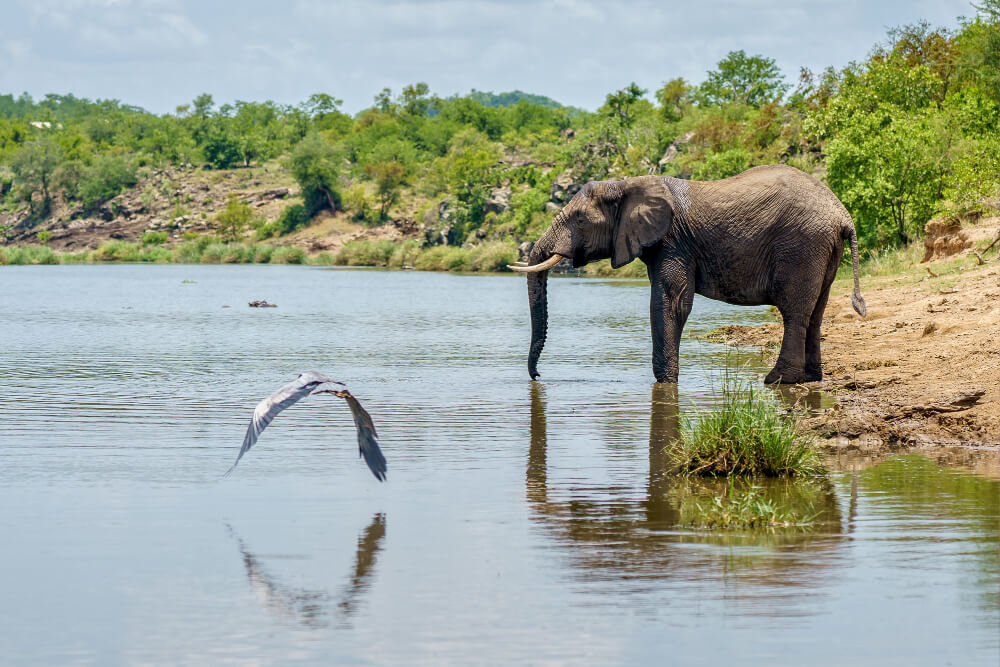 Discover Murchison Falls